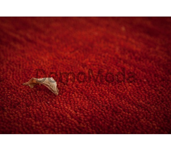 Шерстяний килим  Lalee Prestige 650 Red Купити в інтернет магазині ДомоМода фото 2 Шерстяний килим  Lalee Prestige 650 Red - Висока якість за найкращою ціною в Україні зображення 2.